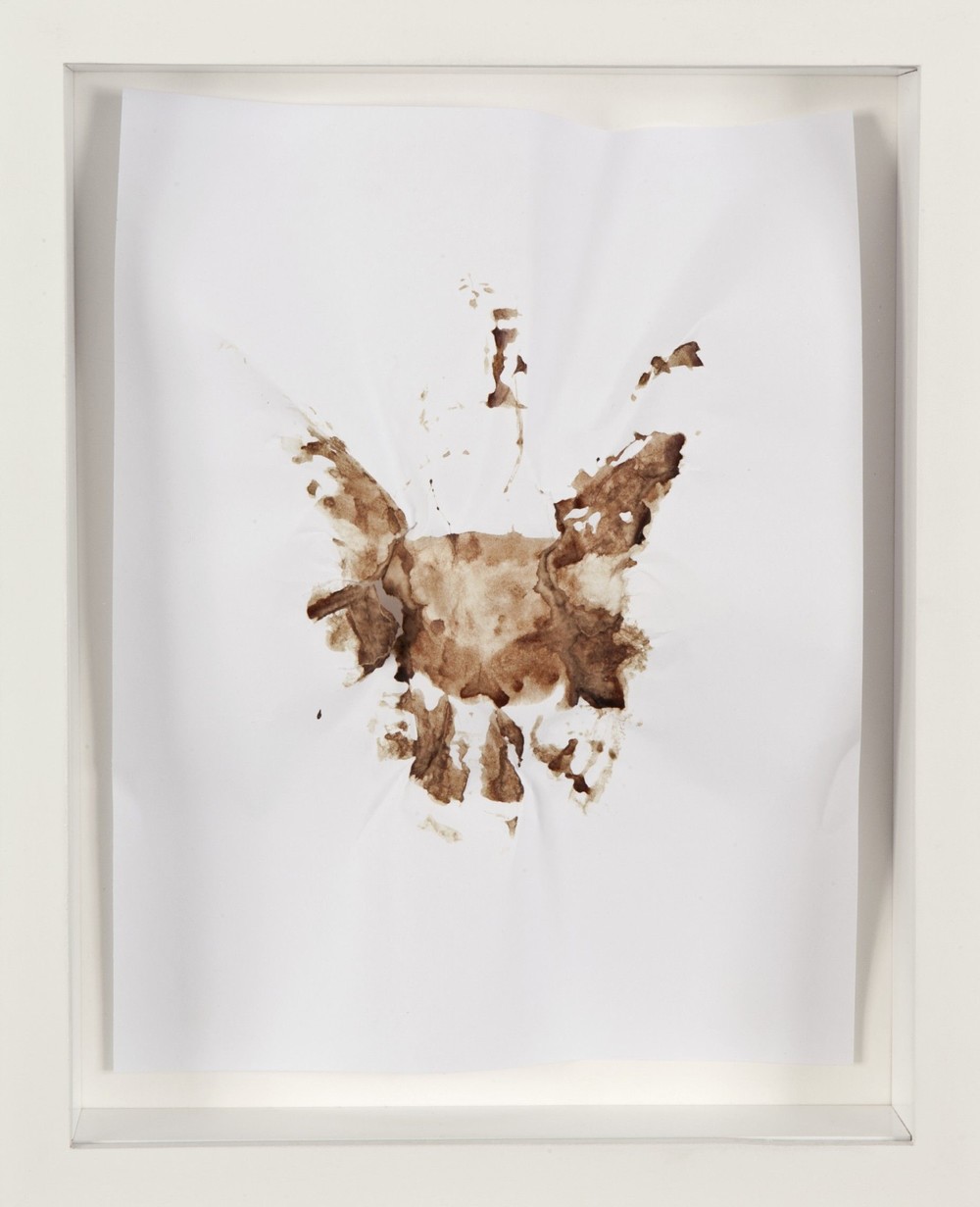 Sans titre  (morsure)