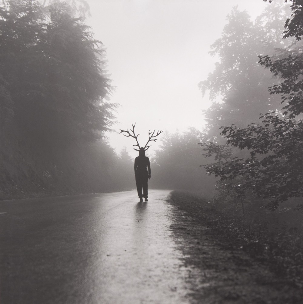Le cerf des tranchées