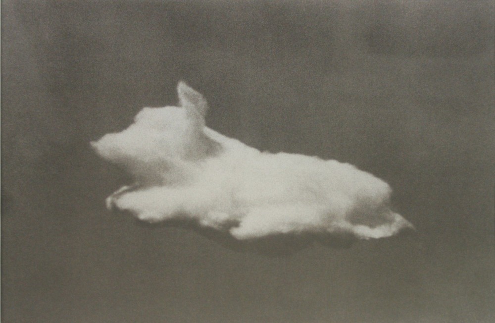 Pig
De la série "Equivalents"