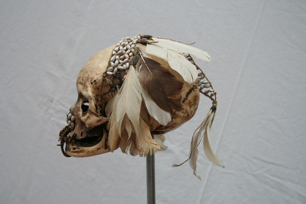 Crâne surmodelé
PNG Asmat