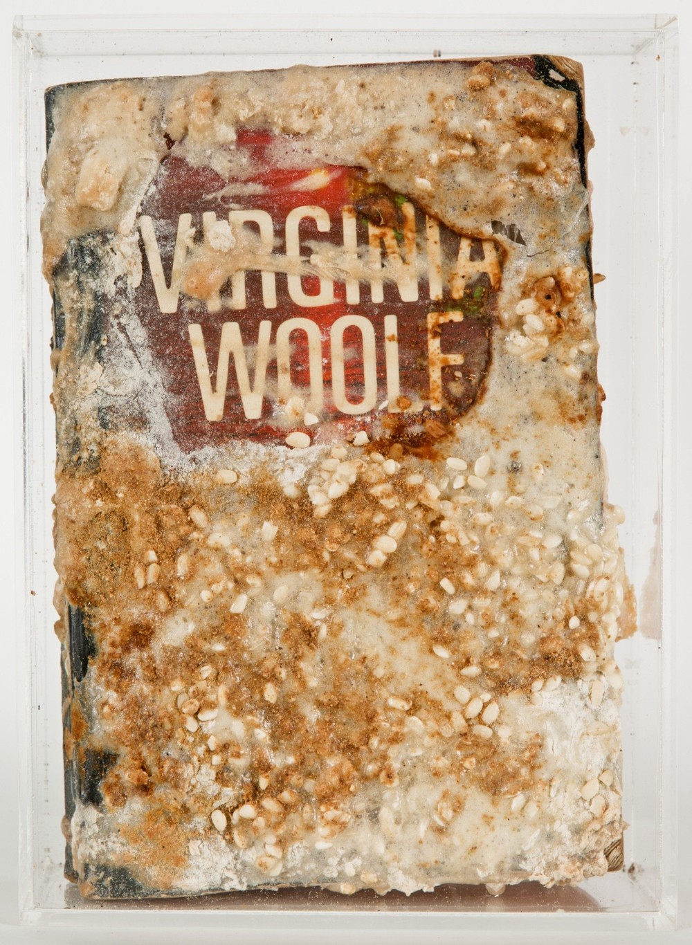 Virginia Woolf, "La traversée des apparences"