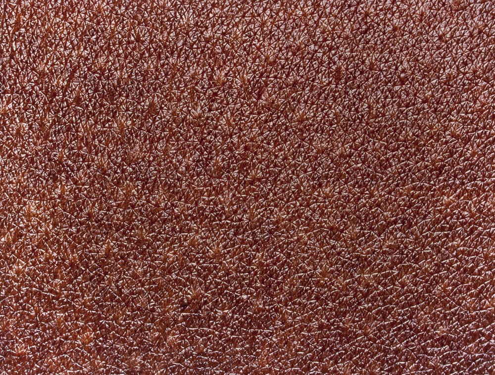 Héros Naomi C. top model, 17 906 cm