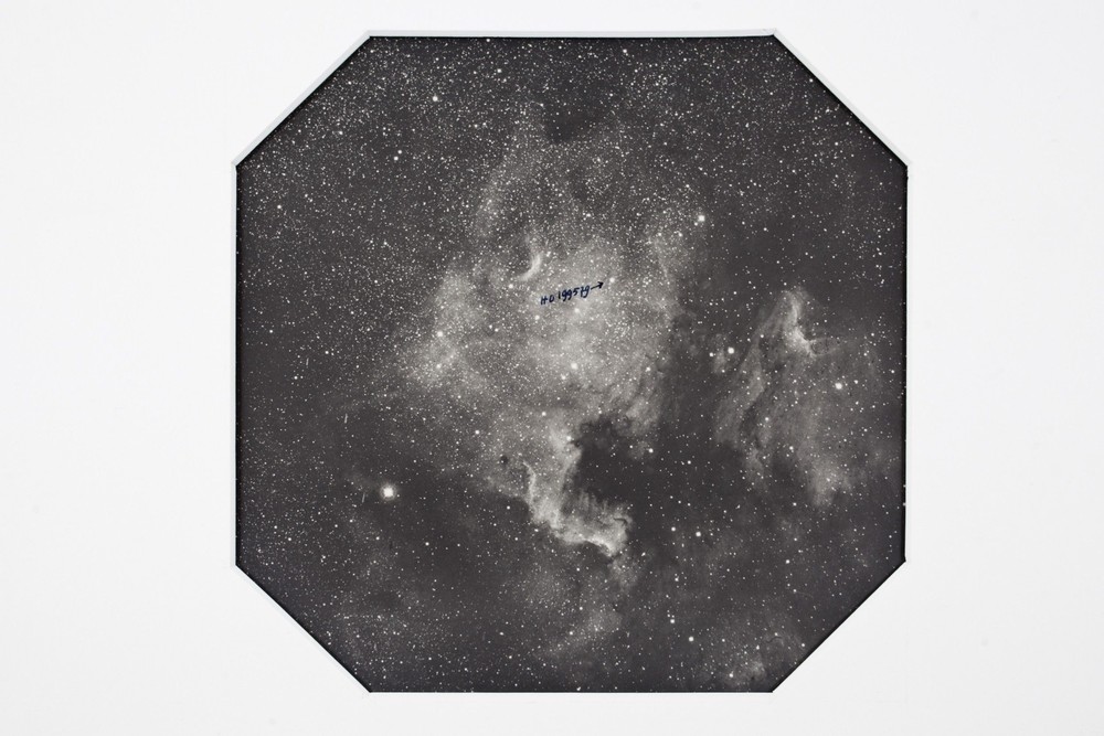 Nébuleuse "Amérique du nord"