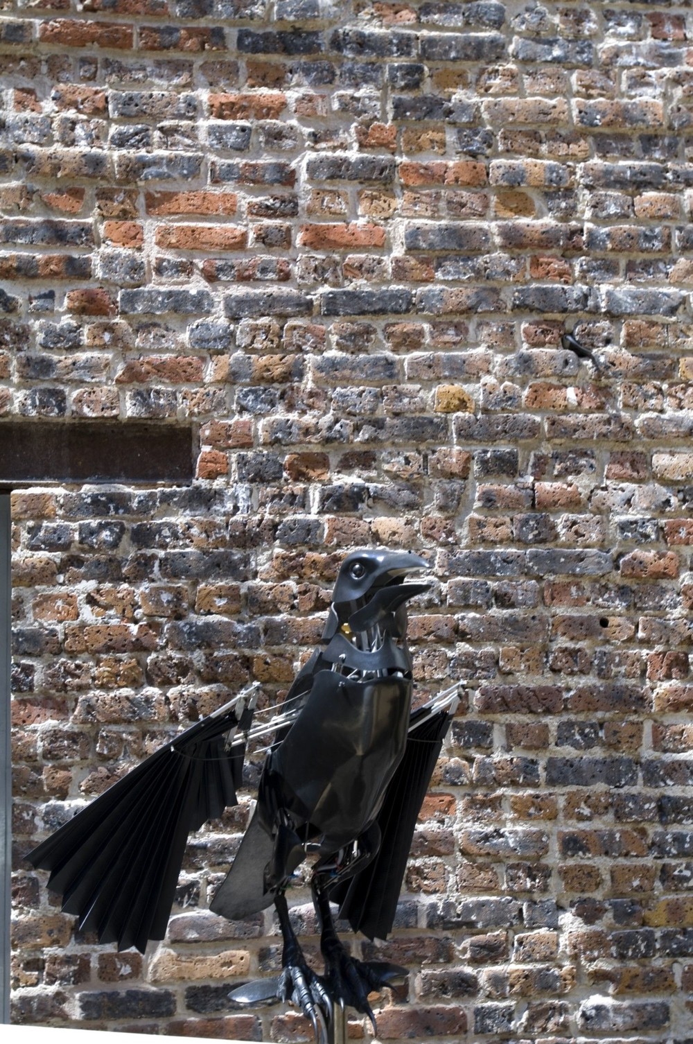 sentinelles (corbeaux)