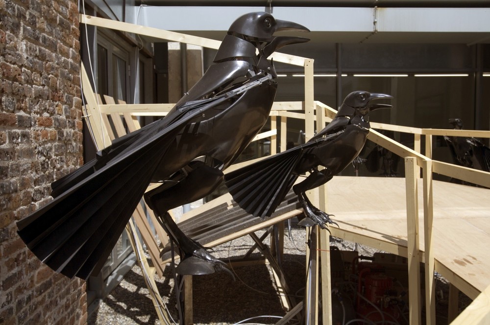 sentinelles (corbeaux)