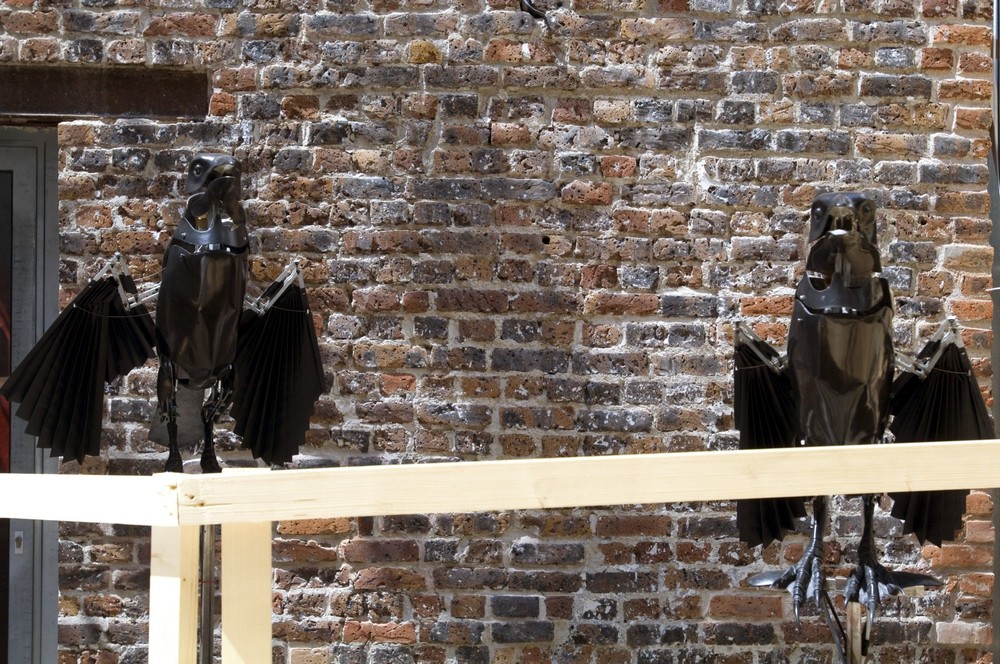 sentinelles (corbeaux)