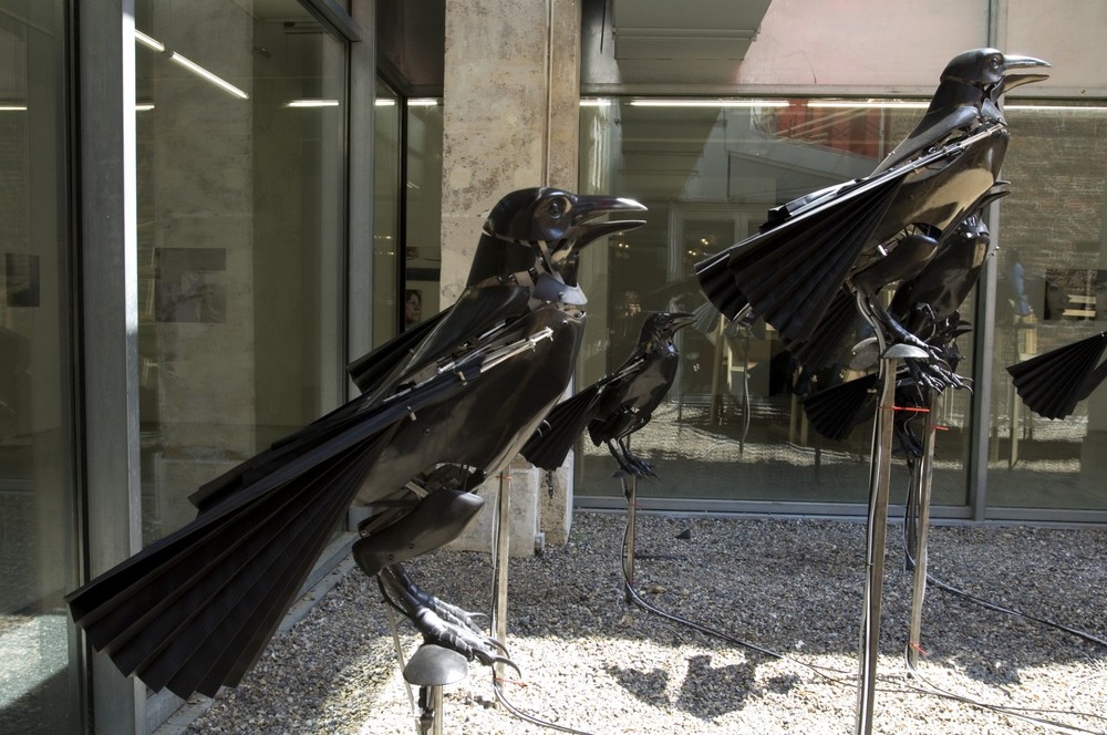 sentinelles (corbeaux)