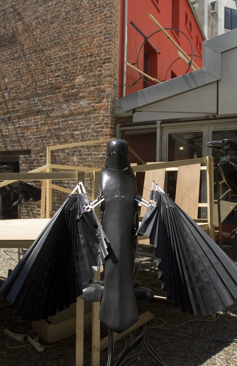 sentinelles (corbeaux)