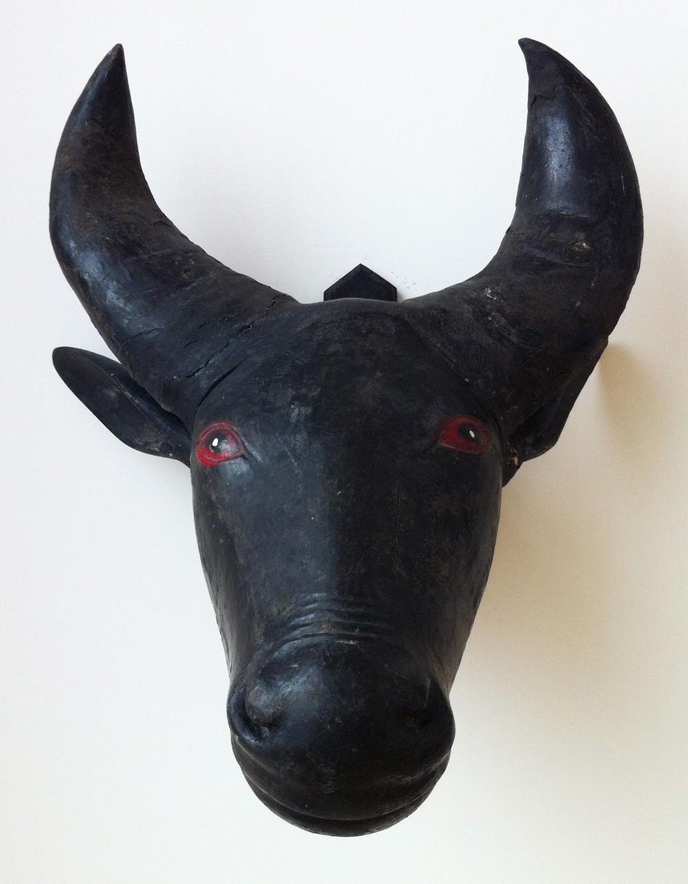 t?te de Nandi (bovidé)