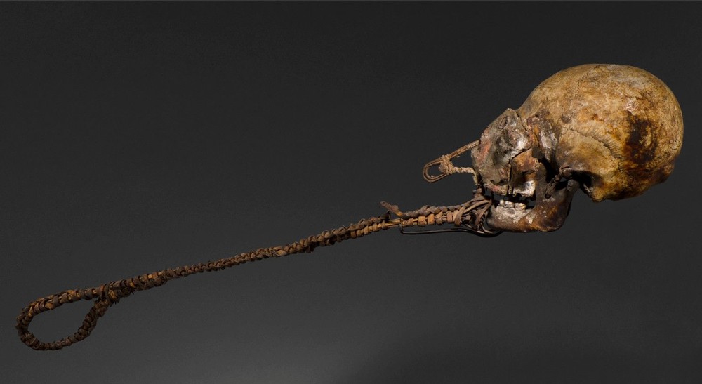 crâne surmodé golfe papou (PNG)