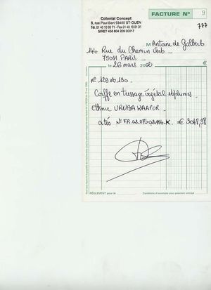 Coiffe en deux parties
coiffe uruba kaapor
état de makanhao
Brésil
amérique du sud