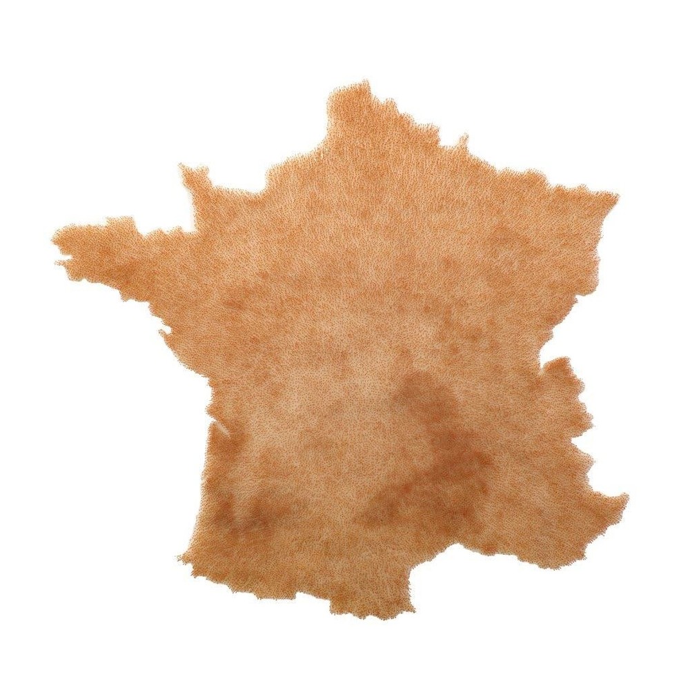 France (burnt/unburnt)